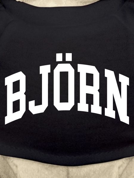 Björn