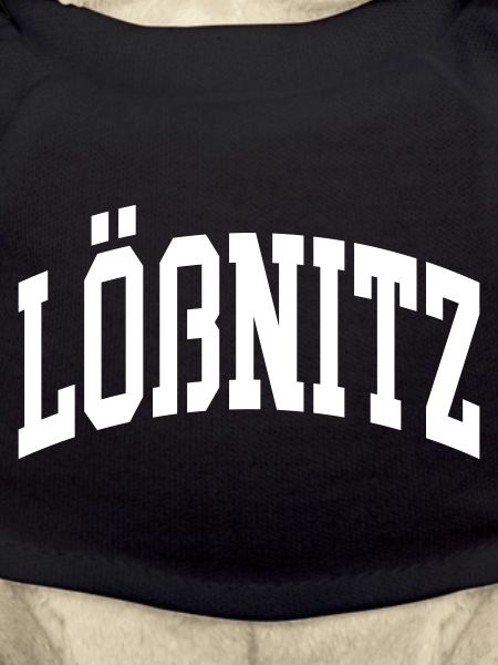 Lößnitz