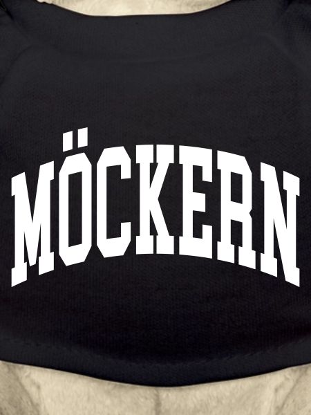 Möckern