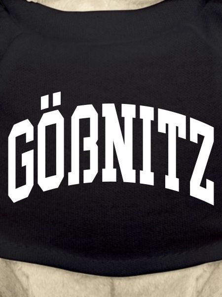 Gößnitz