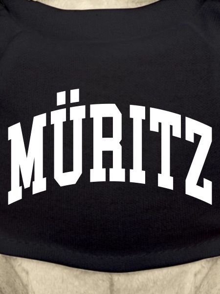 Müritz
