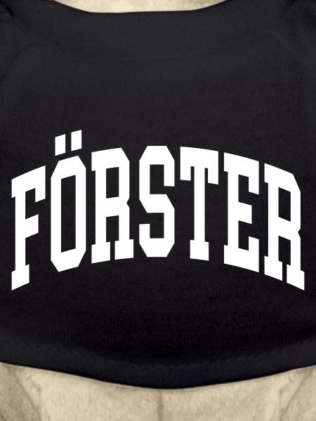 Förster
