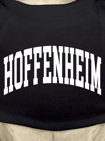 Hoffenheim