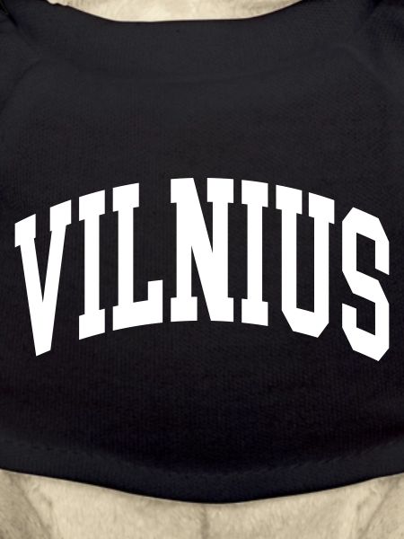 Vilnius