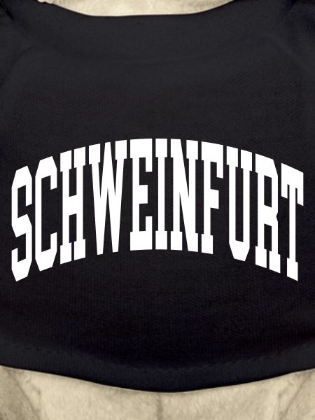 Schweinfurt