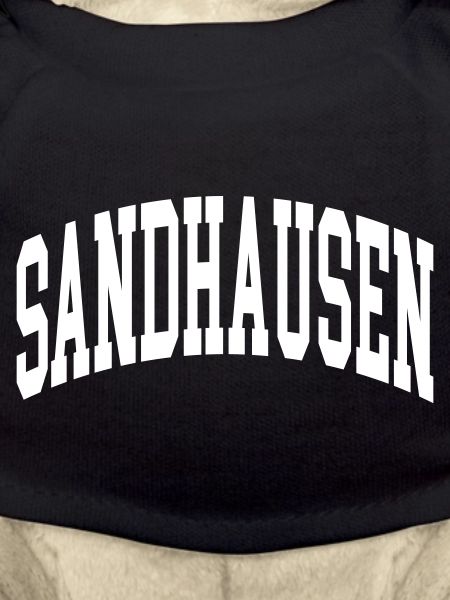 Sandhausen