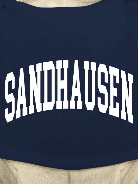 Sandhausen