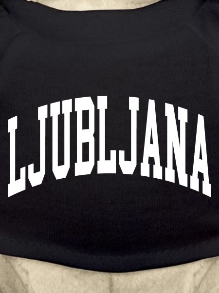 Ljubljana