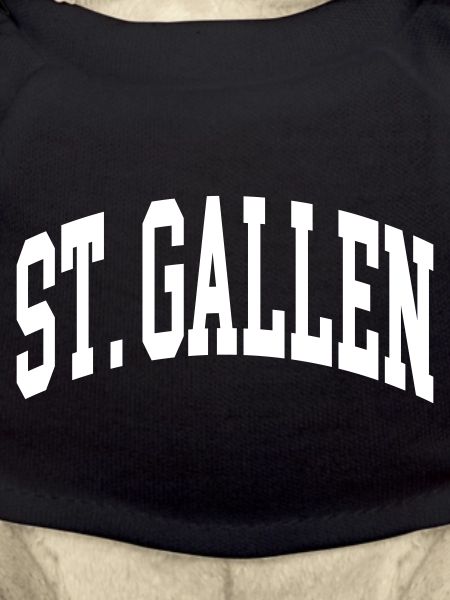 St. Gallen