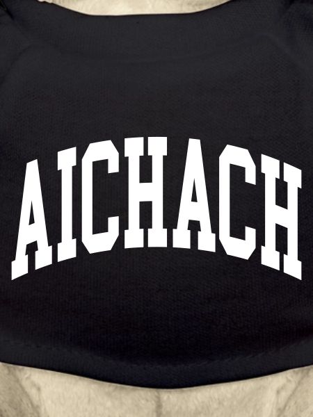 Aichach