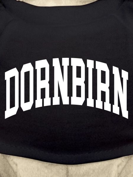 Dornbirn