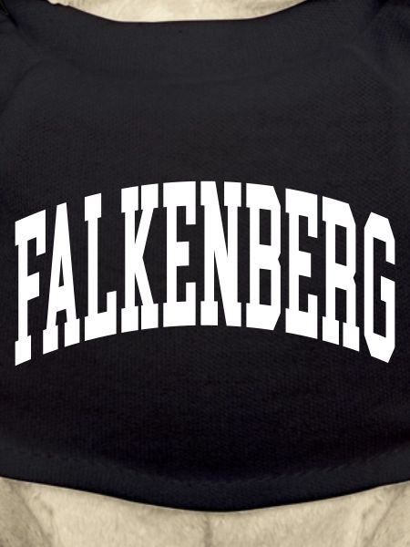 Falkenberg