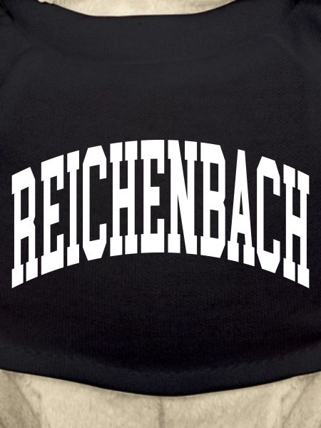 Reichenbach