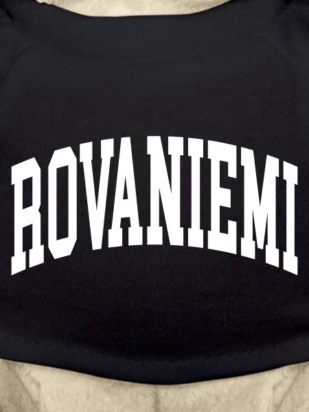 Rovaniemi