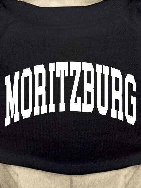 Moritzburg