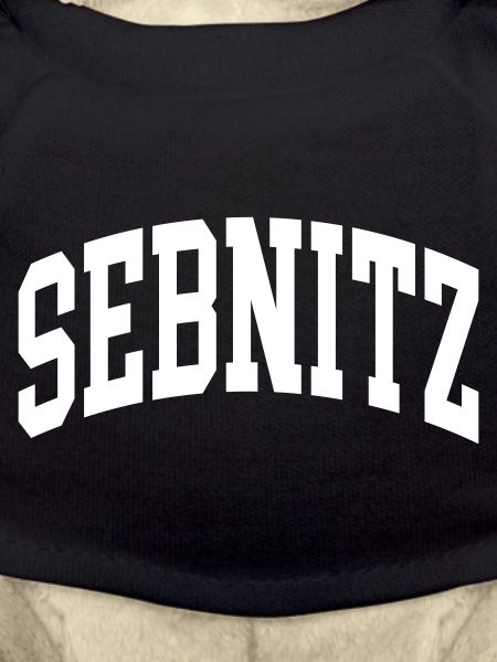 Sebnitz