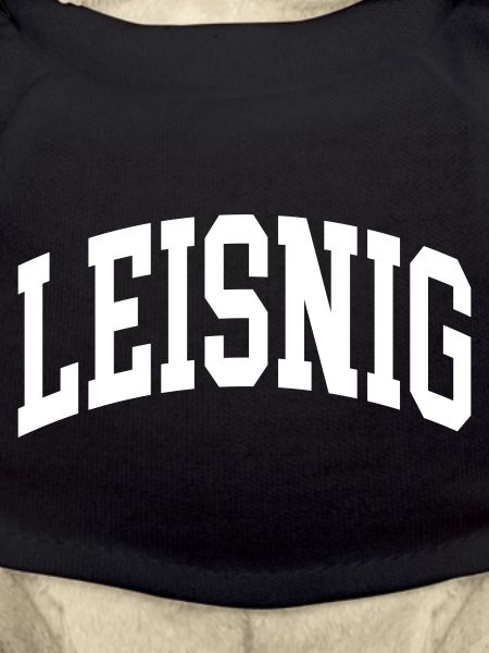Leisnig