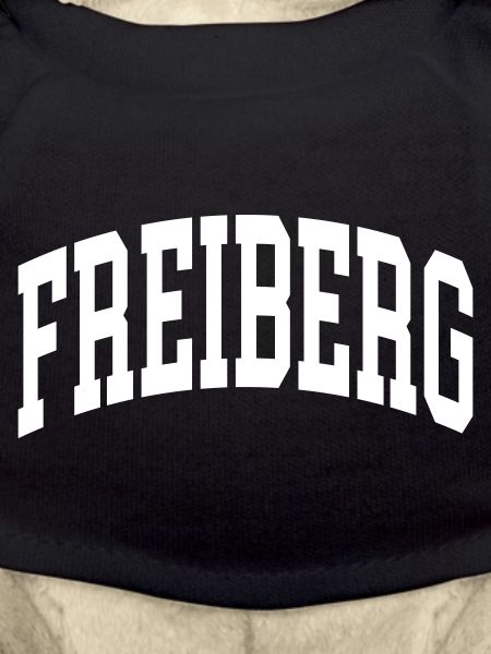 Freiberg