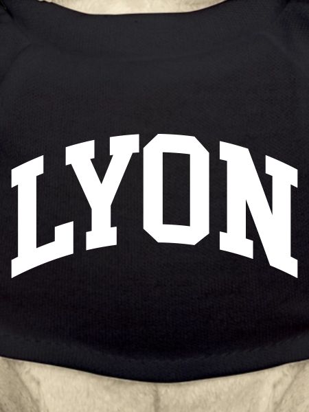 Lyon
