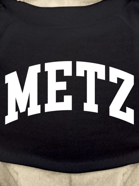 Metz