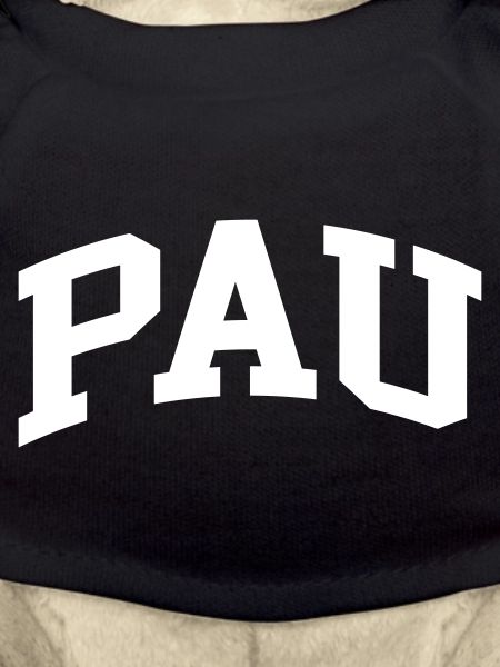 Pau