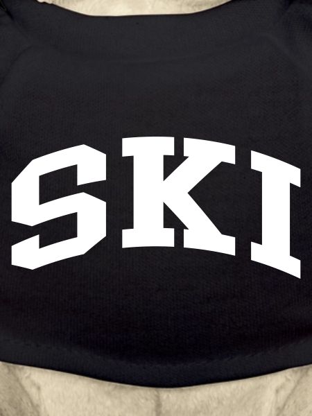 Ski