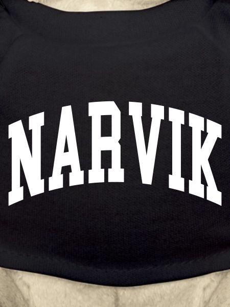 Narvik