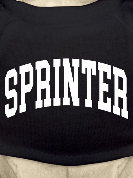 Sprinter