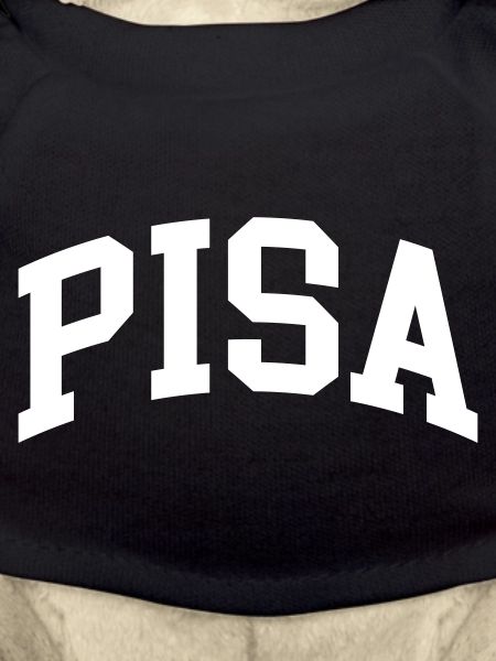 Pisa