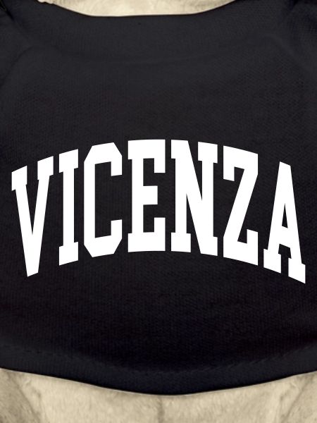 Vicence