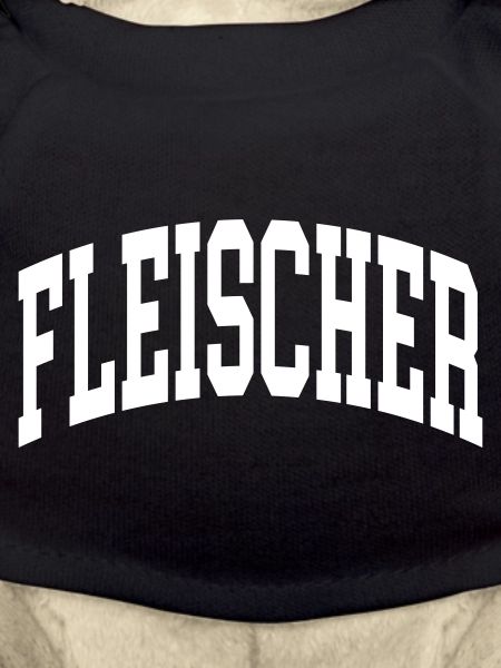 Fleischer