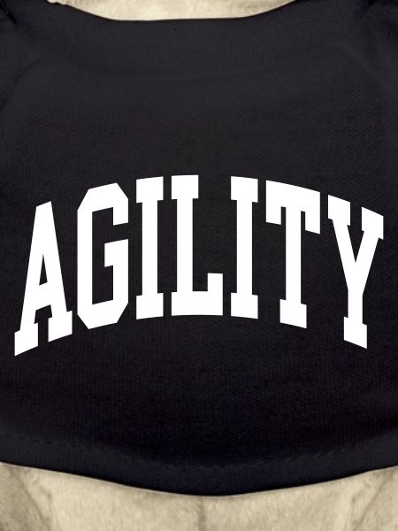 Agilité