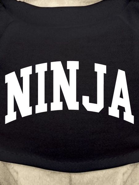 Ninja