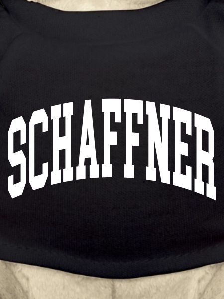 Schaffner