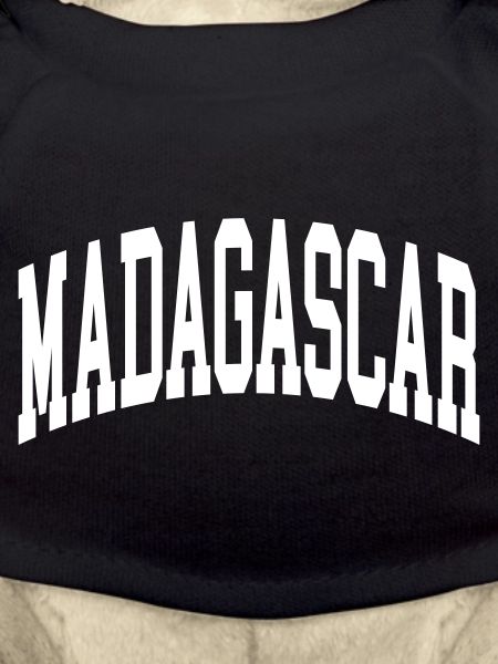 Madagascar