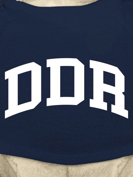 DDR