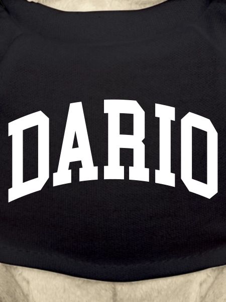 Dario