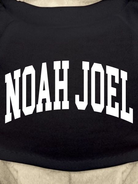 Noah Joel