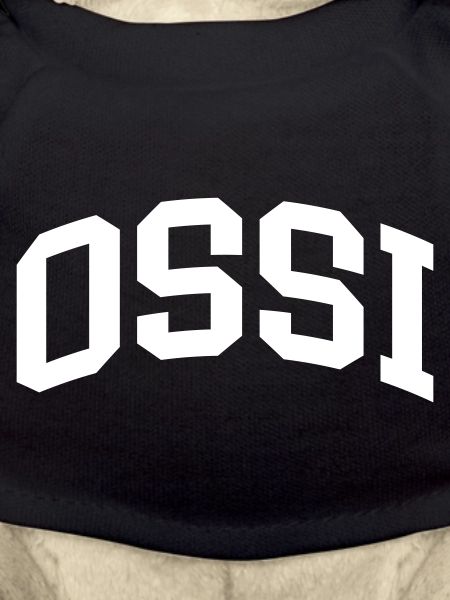 Ossi