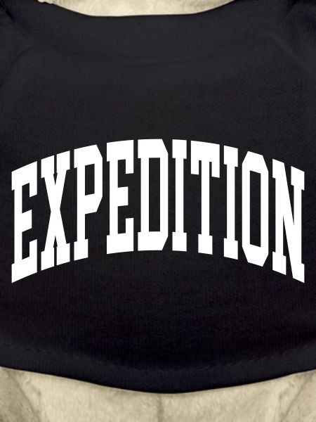 Expédition