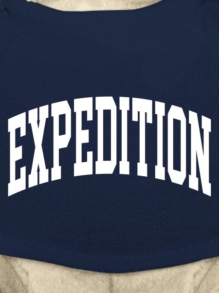 Expédition
