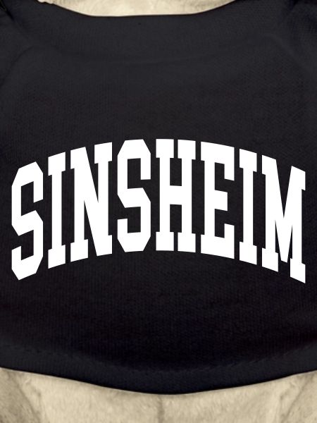 Sinsheim