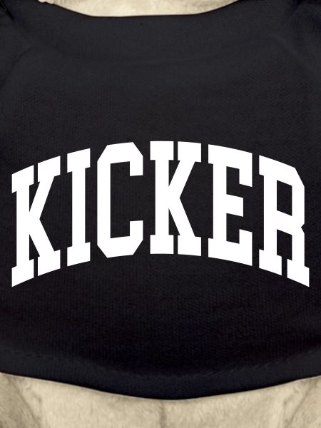 Kicker