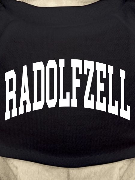Radolfzell