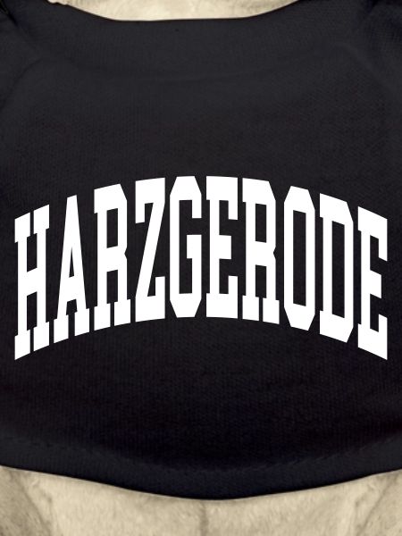 Harzgerode
