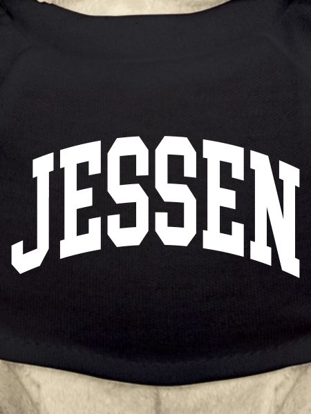 Jessen