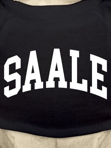 Saale