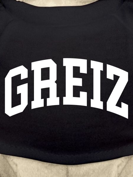 Greiz