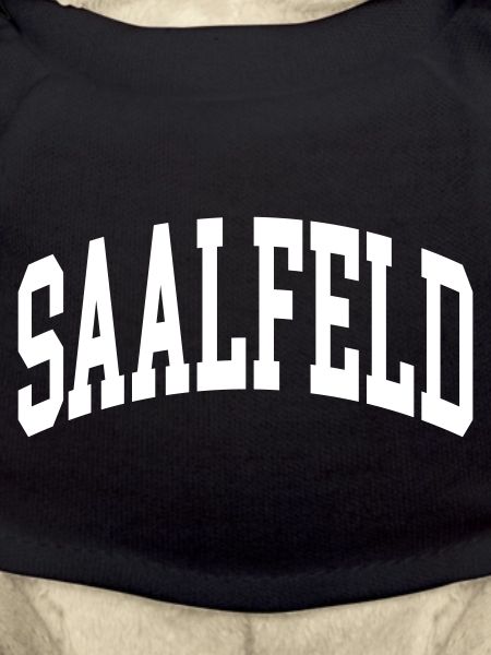 Saalfeld