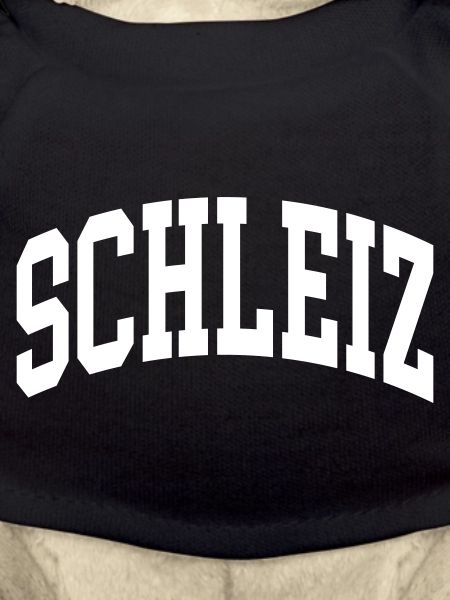 Schleiz